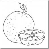 View FRUTTA