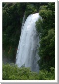 View NATURA