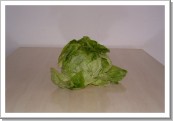 View insalata